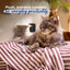 Pet Cushion Lounger Aubergine Stripe (Cats)