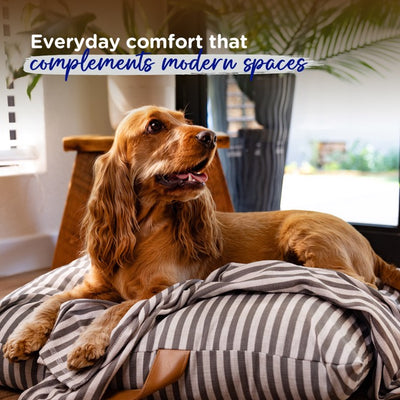 Striped Pet Fleece Blanket Grey (Dogs)