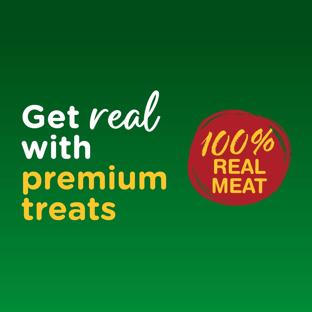 Springboks Originals Dog Treats Boerie 75G