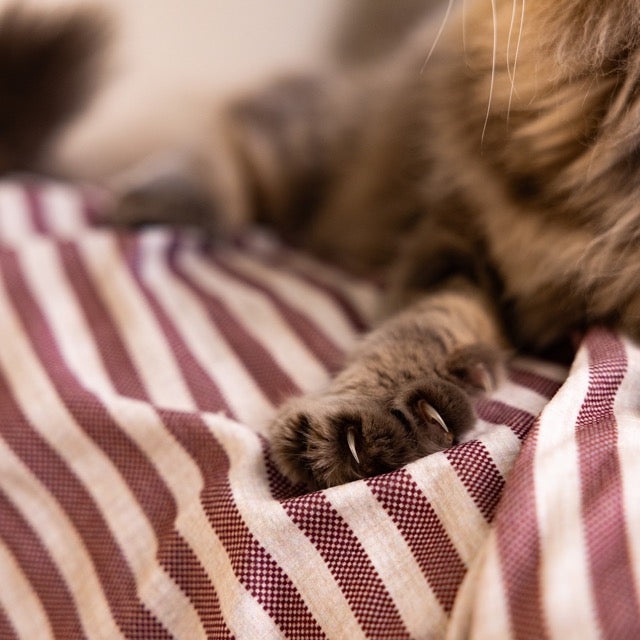 Striped Pet Fleece Blanket Aubergine (Cats)