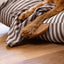 Striped Pet Fleece Blanket Grey (Dogs)