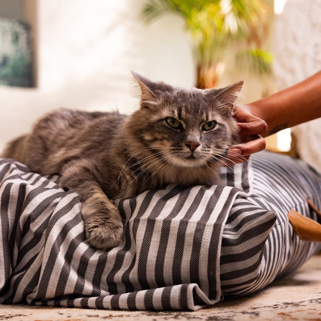 Striped Pet Fleece Blanket Grey (Cats)