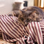 Striped Pet Fleece Blanket Aubergine (Cats)