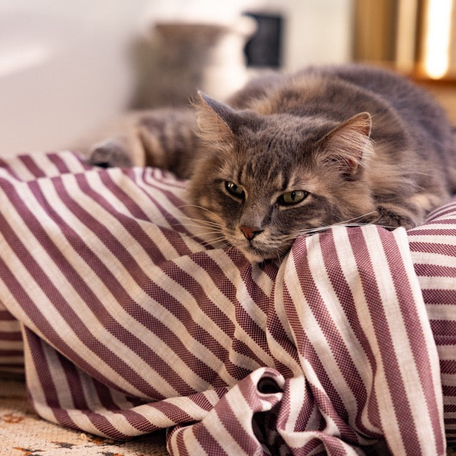 Striped Pet Fleece Blanket Aubergine (Cats)