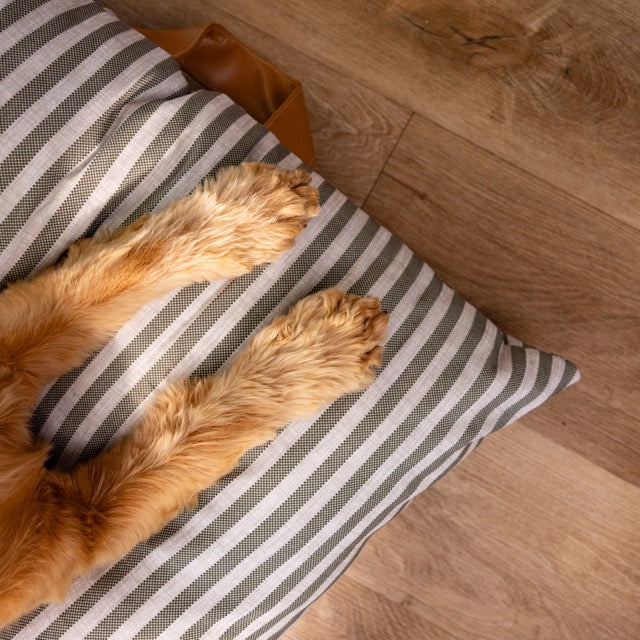 Pet Cushion Lounger Cover Olive Green Stripe (Dogs)