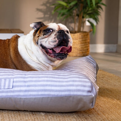 Pet Cushion Lounger Cappucino Stripe (Dogs)
