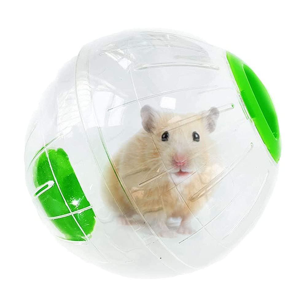 Dog sized hamster store ball