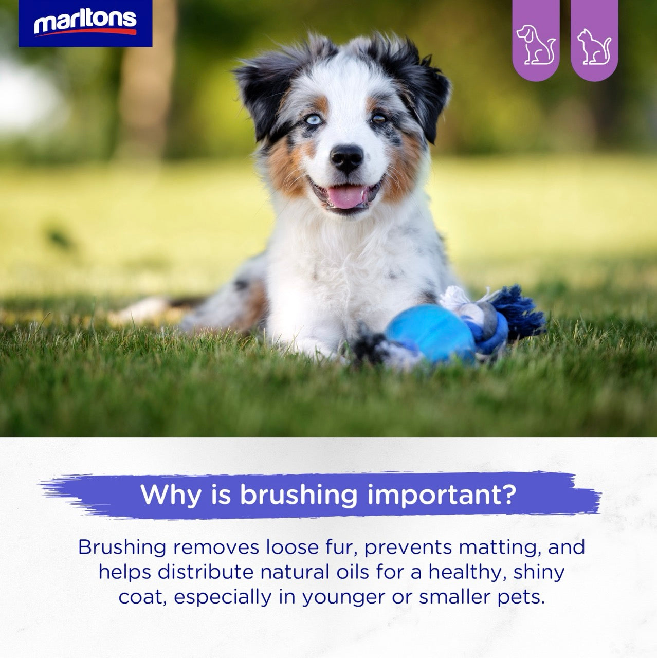 Marltons 2-in-1 Cat & Puppy Brush