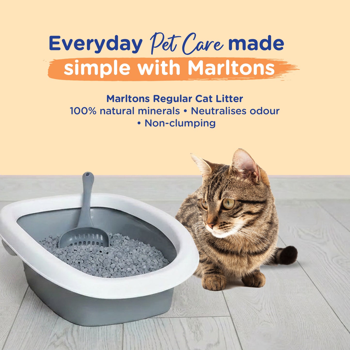 Cat Litter Regular