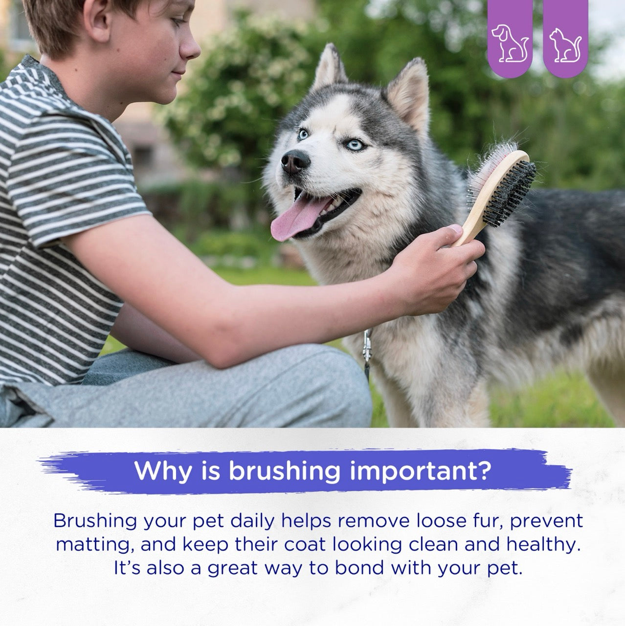 Marltons Double Sided Pet Grooming Brush