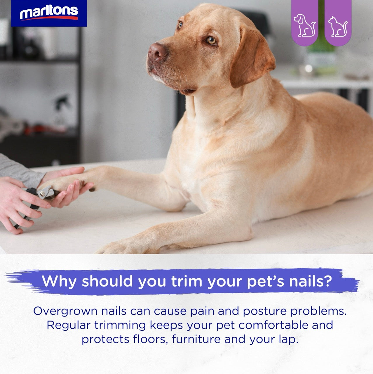 Marltons Precision Safety Nail Clipper
