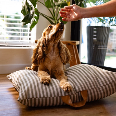 Pet Cushion Lounger Cover Olive Green Stripe (Dogs)