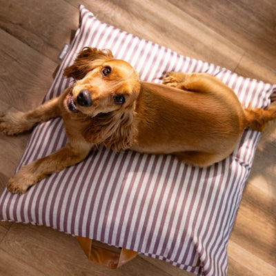 Pet Cushion Lounger Striped Aubergine (Dogs)