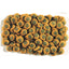 Pleco Spirulina Wafers