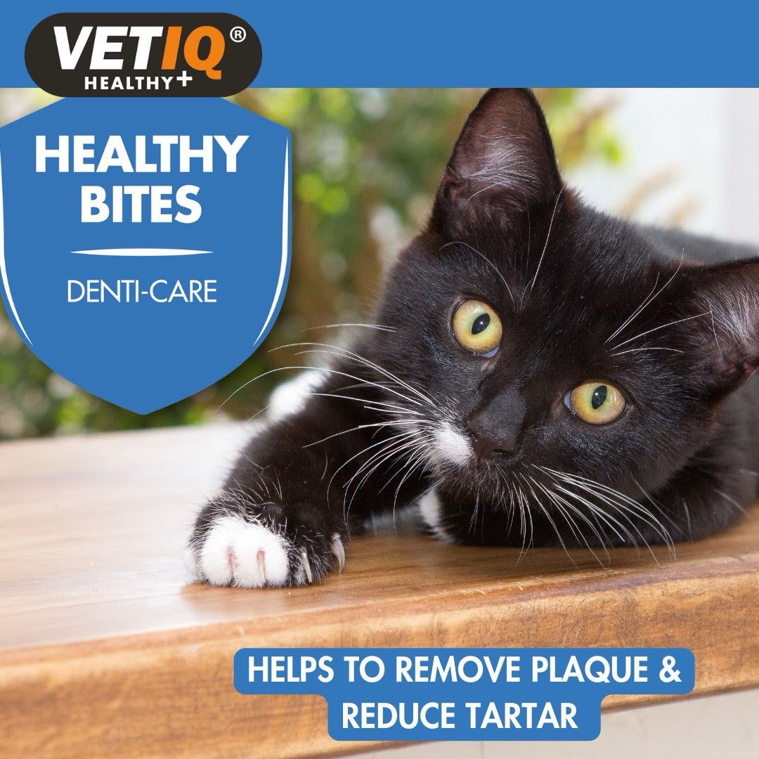 VetIQ: Healthy Bites Denti-Care For Cats & Kittens