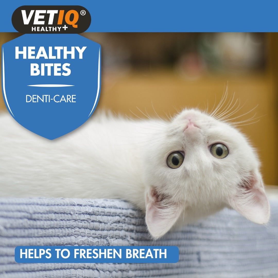 VetIQ: Healthy Bites Denti-Care For Cats & Kittens
