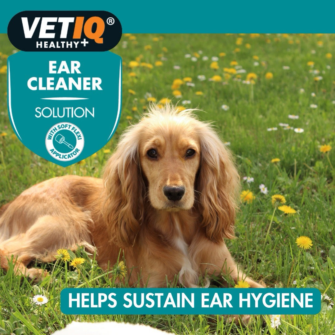 VETIQ® Ear Cleaner Solution