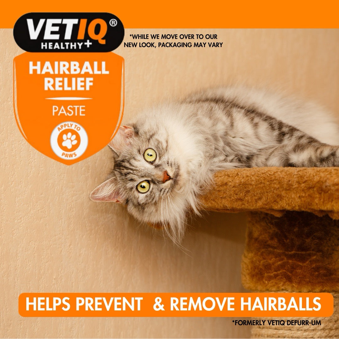 VETIQ® Hairball Relief Paste