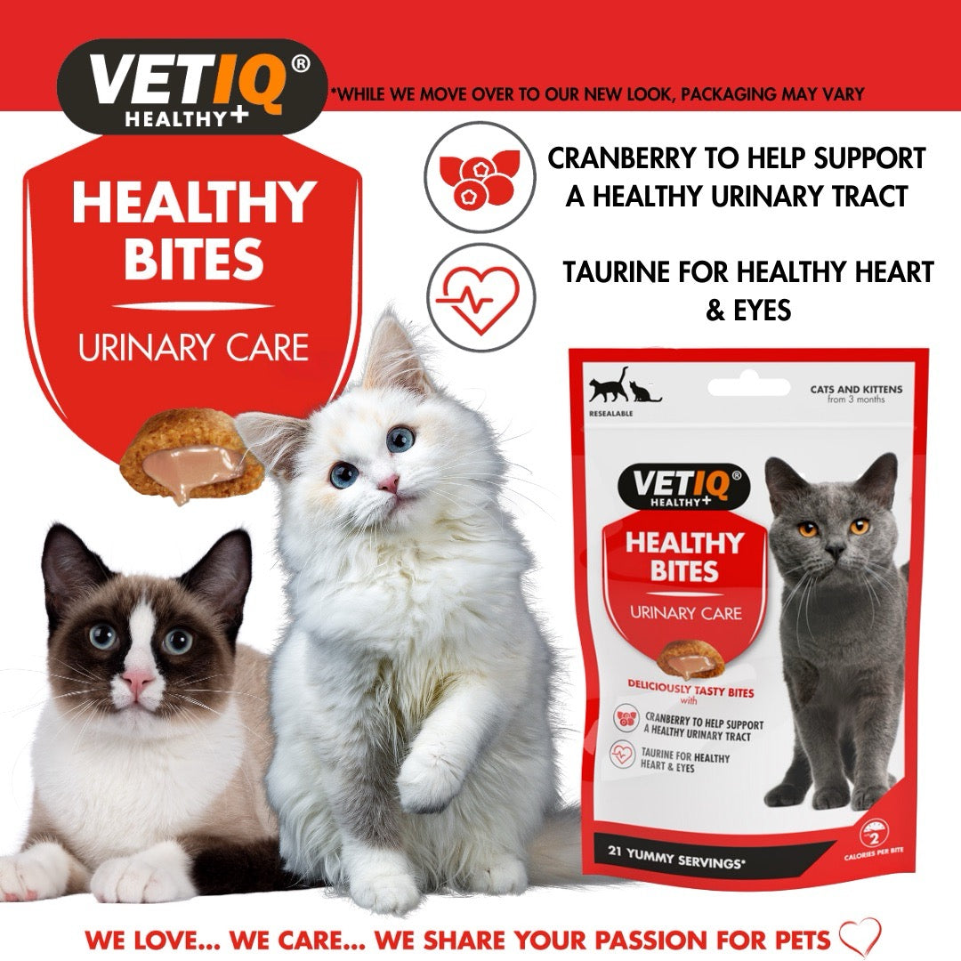 VetIQ: Healthy Bites Urinary Care for Cats