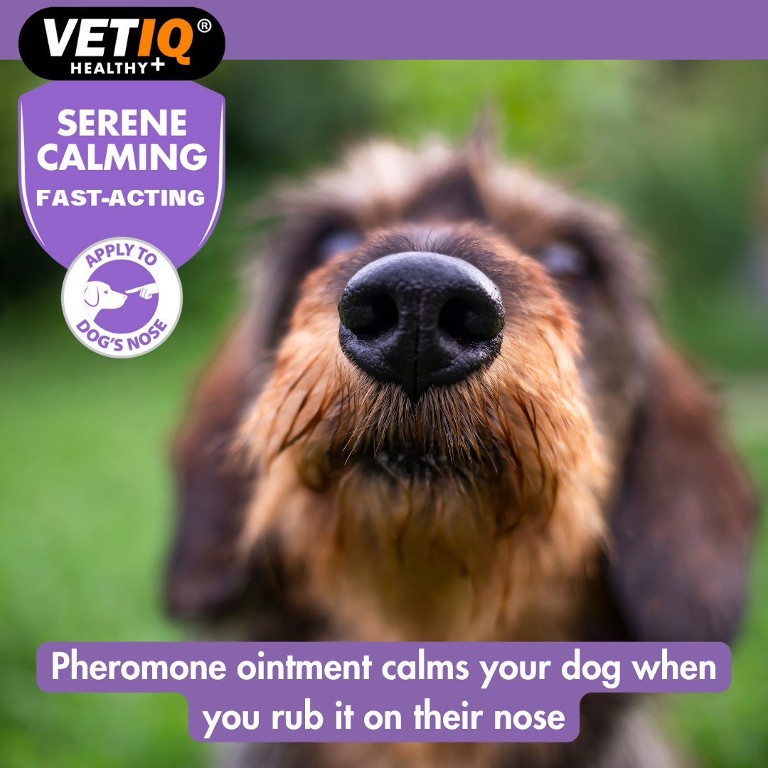 VETIQ® Serene Calming Rapid Relief