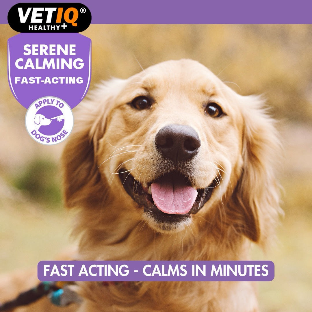 VETIQ® Serene Calming Rapid Relief