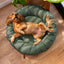 Water Resistant Donut Bed (Dogs)