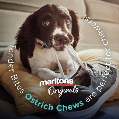 Marltons Originals Ostrich Chews