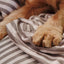 Striped Pet Fleece Blanket Grey (Cats)