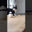 Rolling Ball Toy