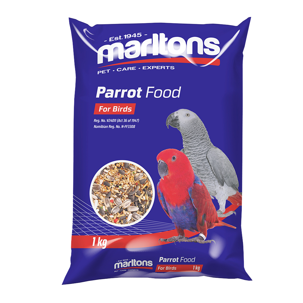 Parrot Food