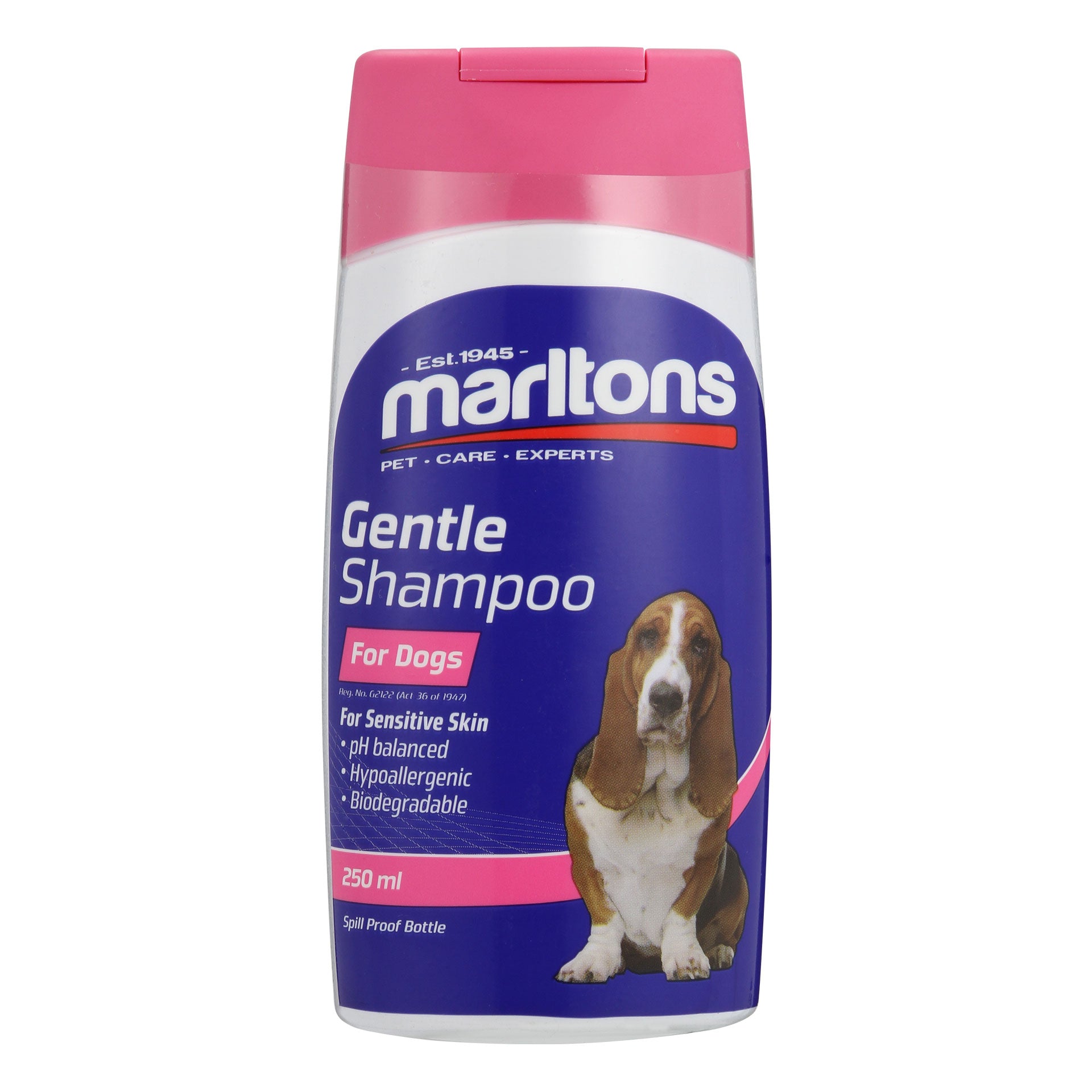 Gentle Shampoo For Dogs Marltons Pet Care Experts